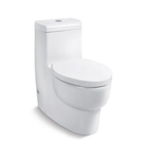 Ove Dual Flash One-Piece Toilet K-45382R-NS-0