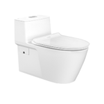 American Standard Acacia Supasleek One piece Toilet Bowl-CL20075-6DASGCBT